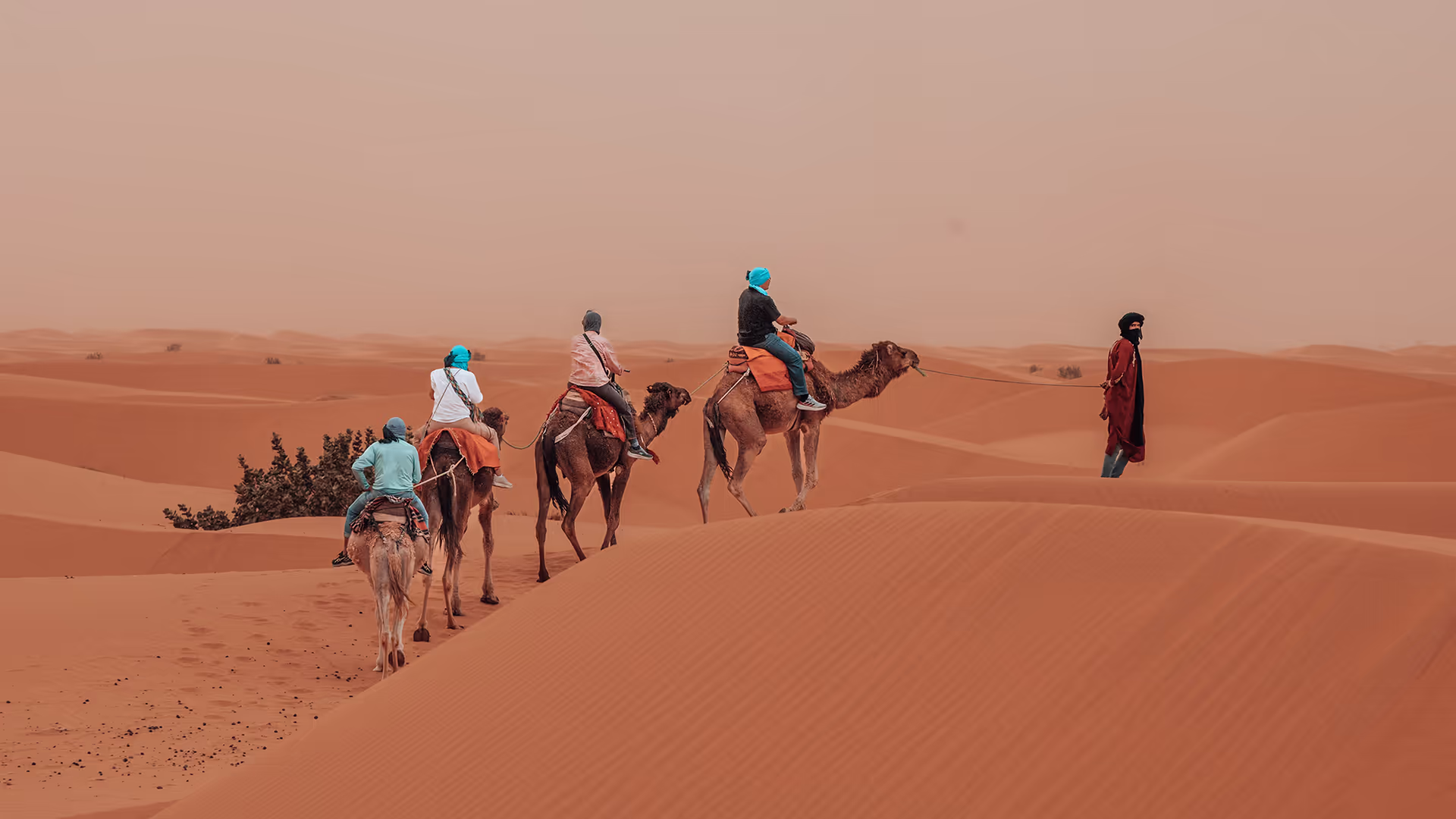 A camel trek into the dunes at sunset near Merzouga